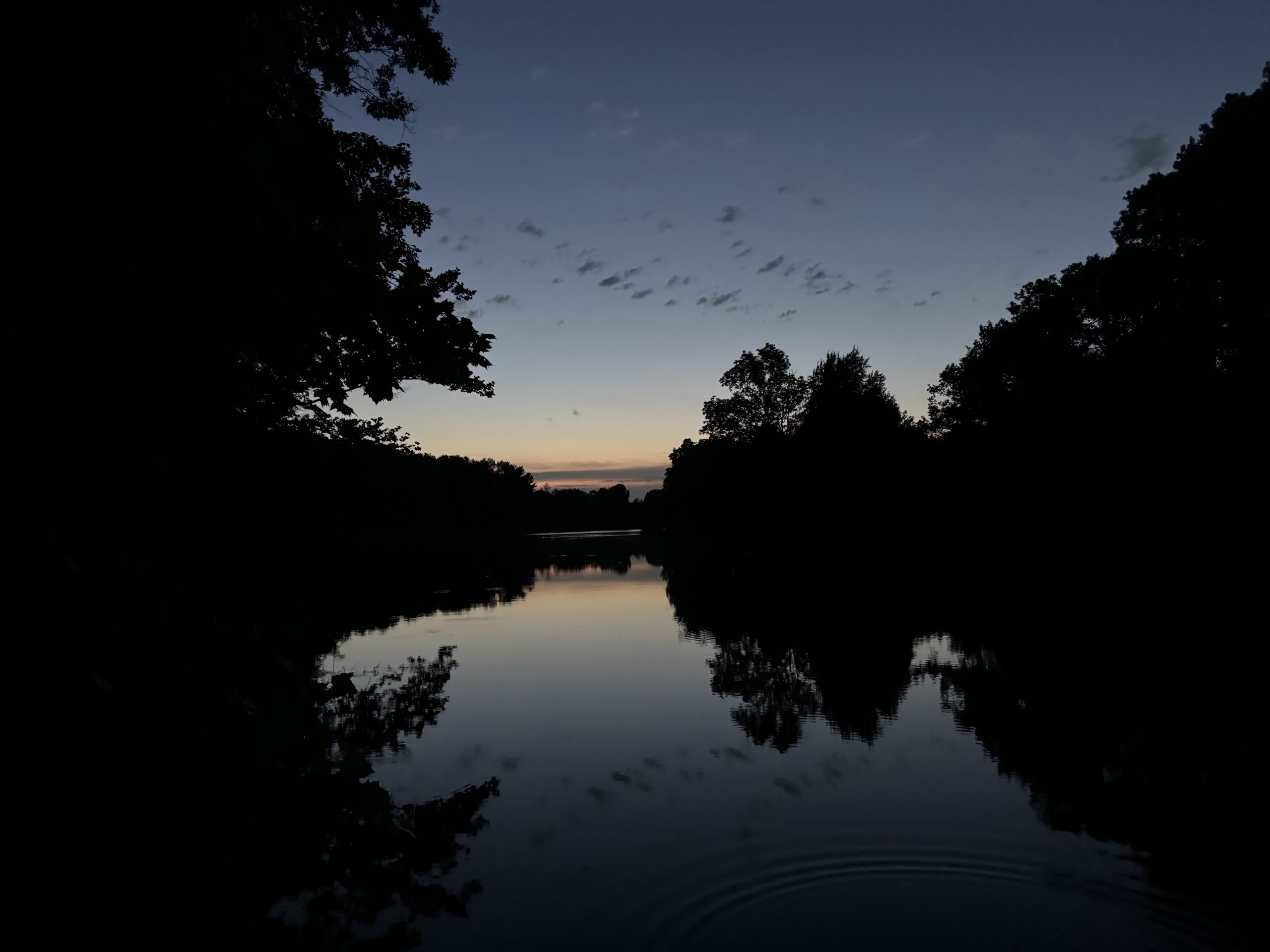 Scenic view of a lake at dusk showing stark outline of trees.